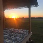 Les Cabanes De