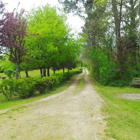 Les Cabanes De Сasa de vacaciones Rouffignac Saint-Cernin