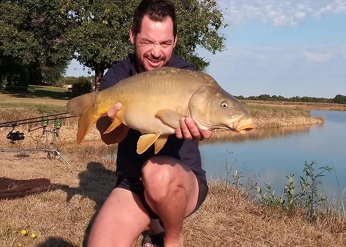 Les Cabanes De Rouffignac-Saint-Cernin-de-Reilhac
