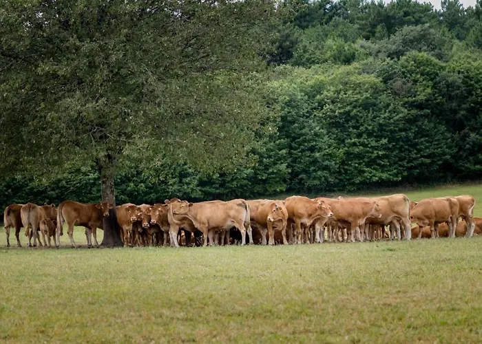 Les Cabanes De Rouffignac-Saint-Cernin-de-Reilhac