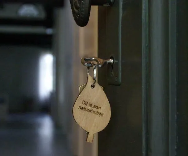 Les Cabanes De Rouffignac-Saint-Cernin-de-Reilhac